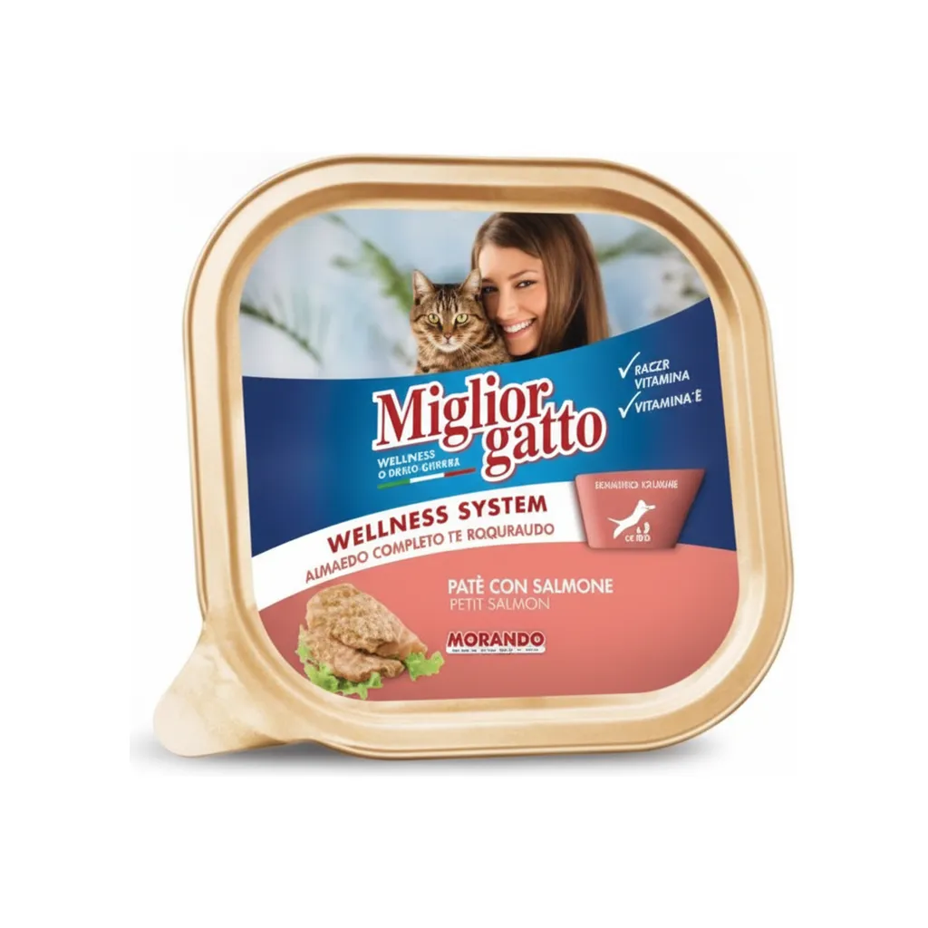MIGLIOR GATTO PATE GR100  SALMONE